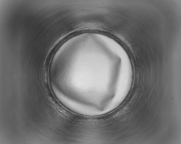 X0000073990925200609181738