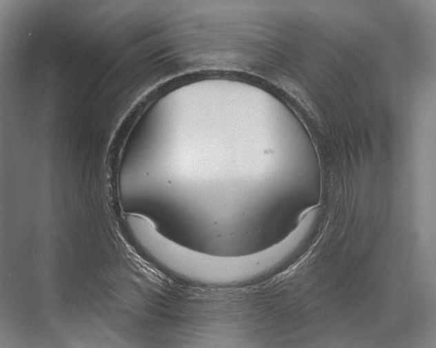 X0000073990926200609181738