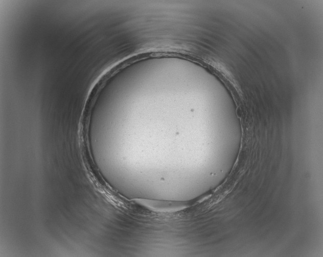 X0000073990928200609181738