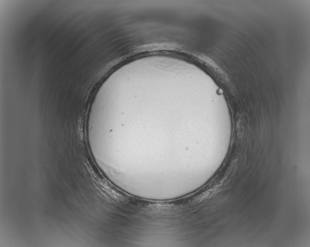 X0000073990929200609181738