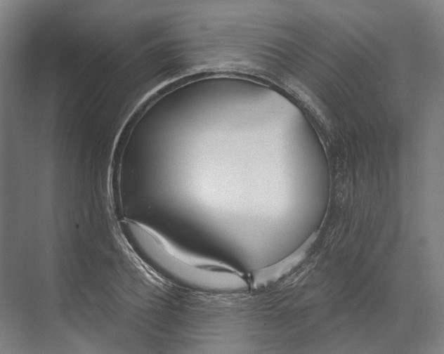 X0000073990932200609181738