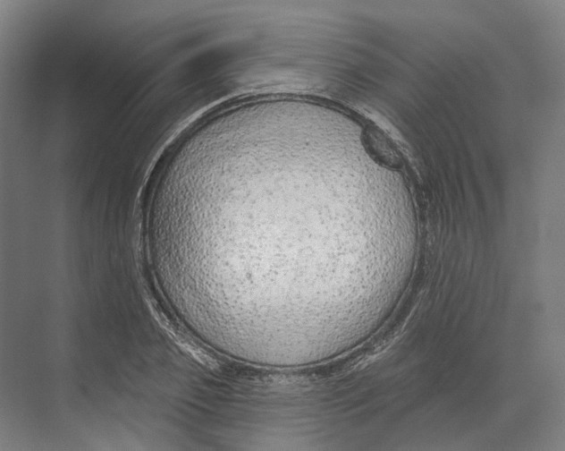 X0000073990933200609181738