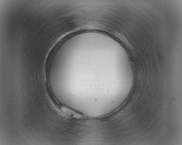 X0000073990934200609181738