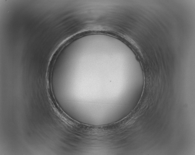 X0000073990935200609181738