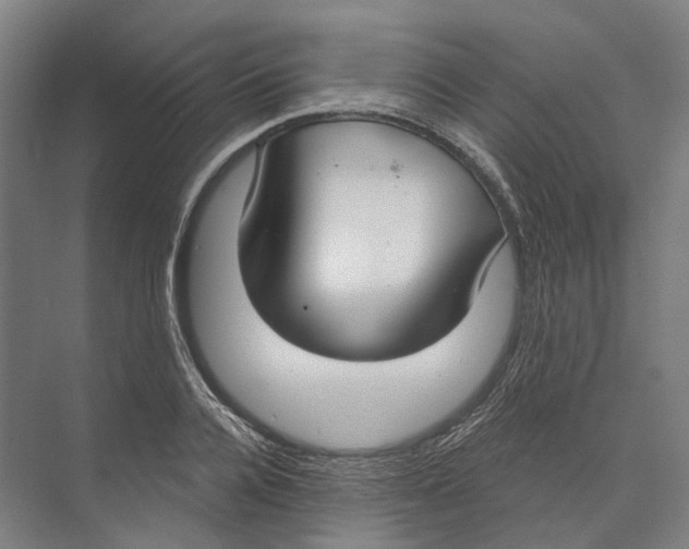 X0000073990936200609181738