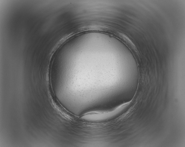 X0000073990938200609181739