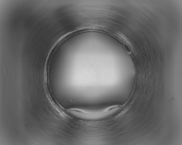 X0000073990940200609181739