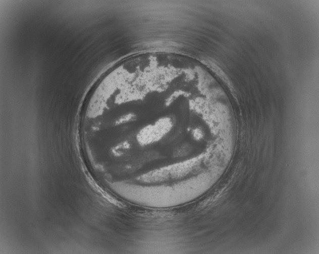 X0000073990941200609181739