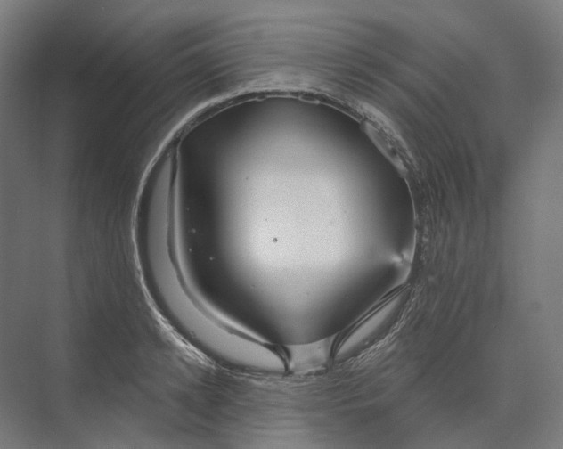 X0000073990942200609181739