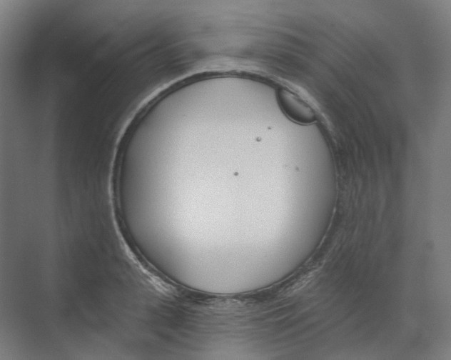 X0000073990943200609181739