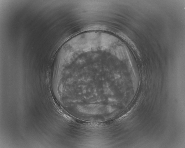 X0000073990945200609181739