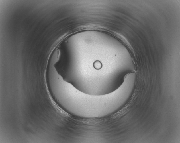 X0000073990946200609181739