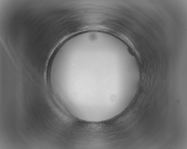 X0000073990947200609181739