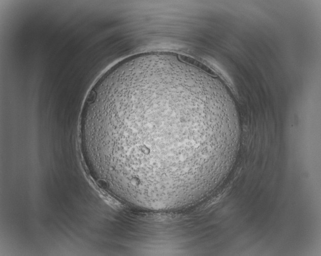 X0000073990948200609181739