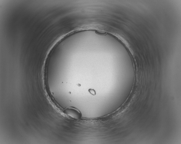 X0000073990949200609181739