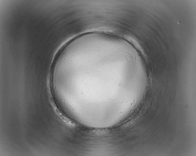 X0000073990952200609181739