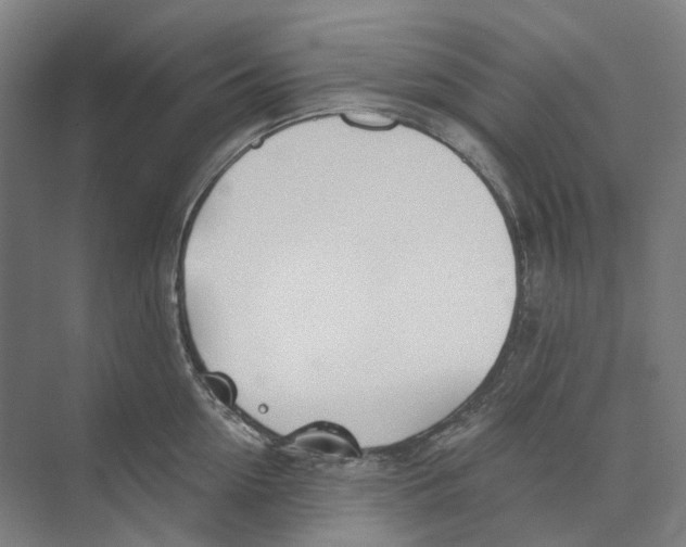 X0000073990954200609181739