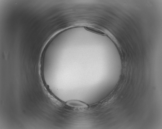 X0000073990955200609181739