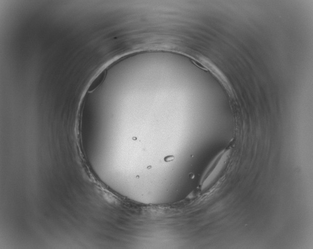 X0000073990956200609181739