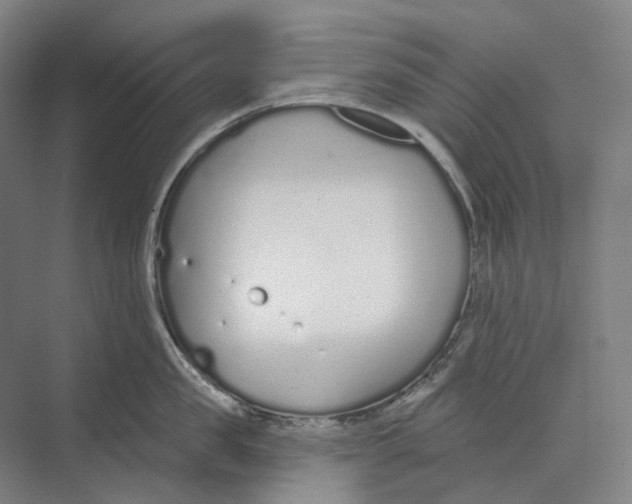 X0000073990957200609181739