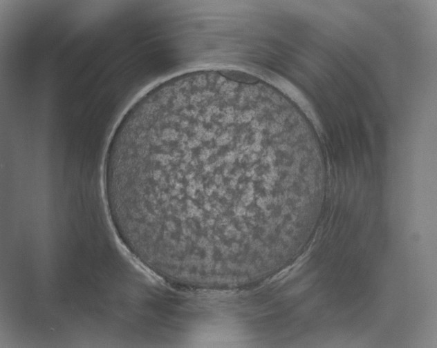 X0000073990958200609181739