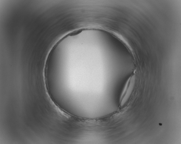 X0000073990959200609181739