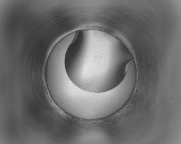 X0000073990960200609181739