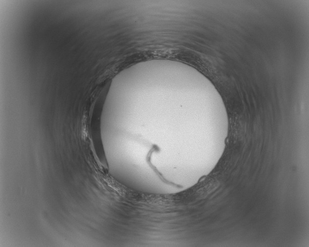 X0000073990962200609181738