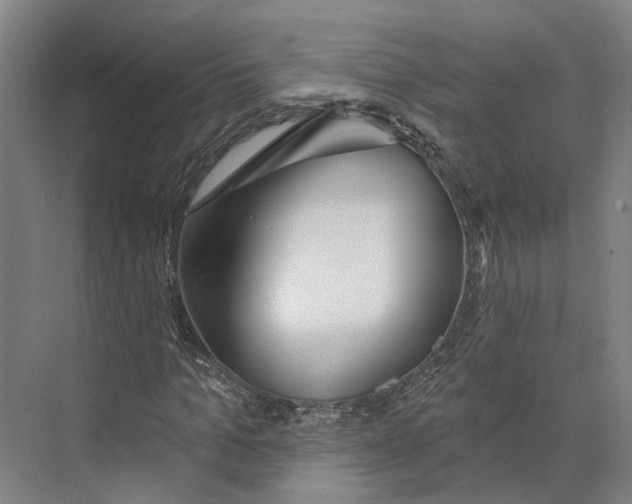 X0000073990965200609181738