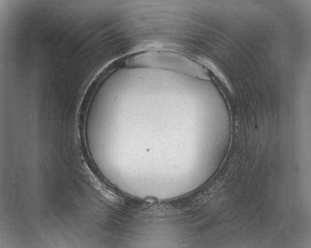 X0000073990972200609181738