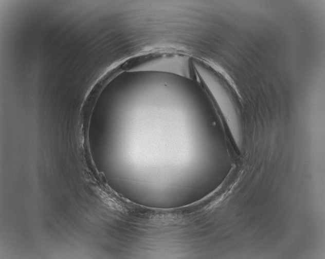 X0000073990973200609181738