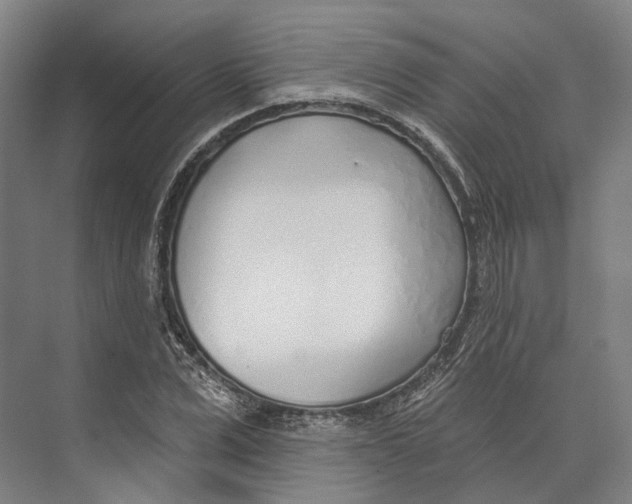 X0000073990975200609181738