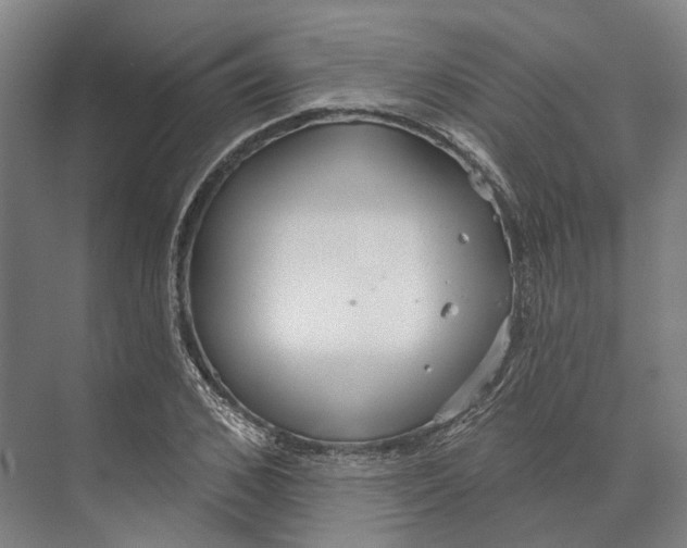 X0000073990976200609181738