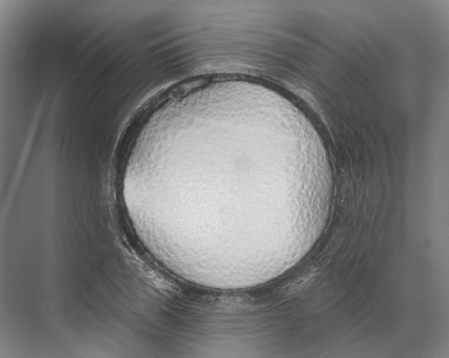 X0000073990979200609181738