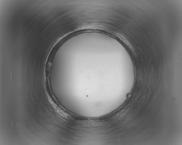 X0000073990980200609181738