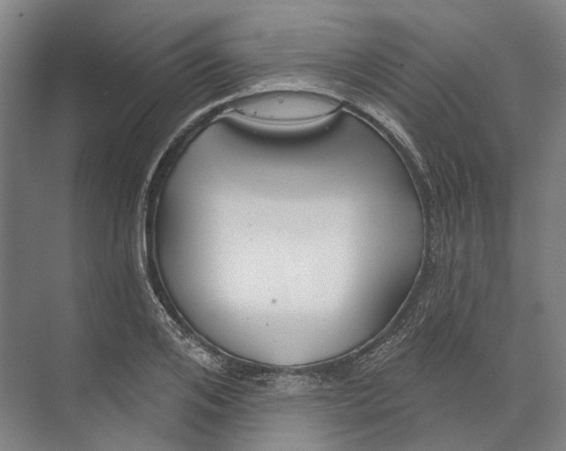 X0000073990984200609181738