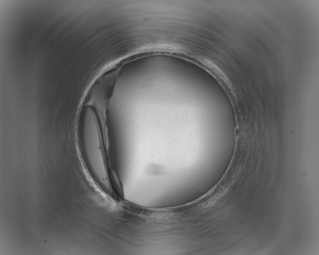 X0000073990989200609181738