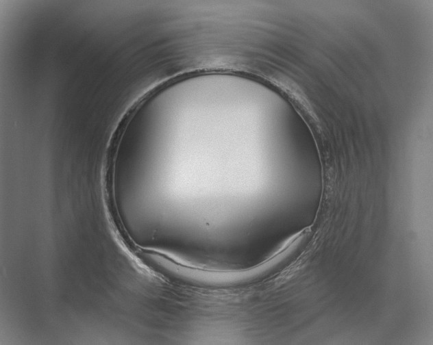 X0000073990991200609181738