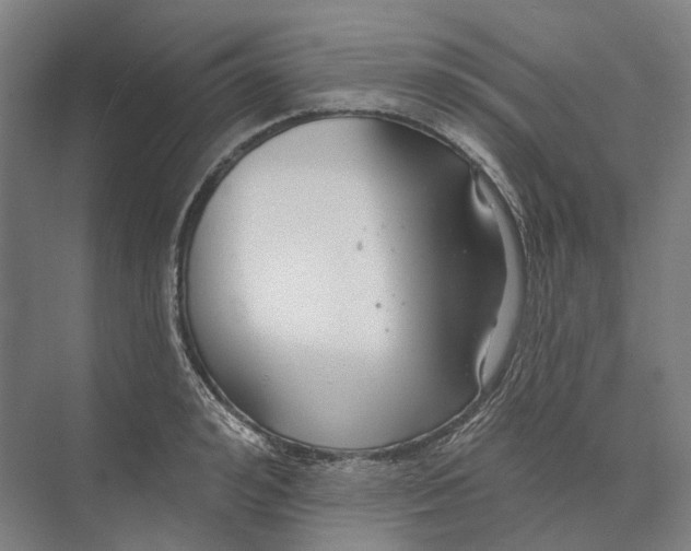 X0000073990992200609181738