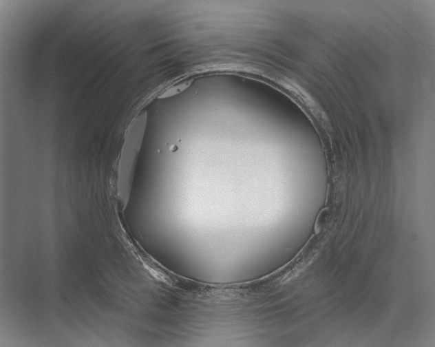 X0000073990993200609181738