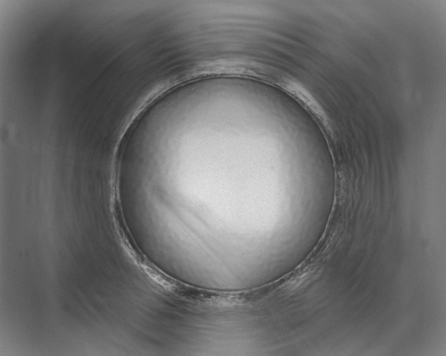 X0000073990994200609181738