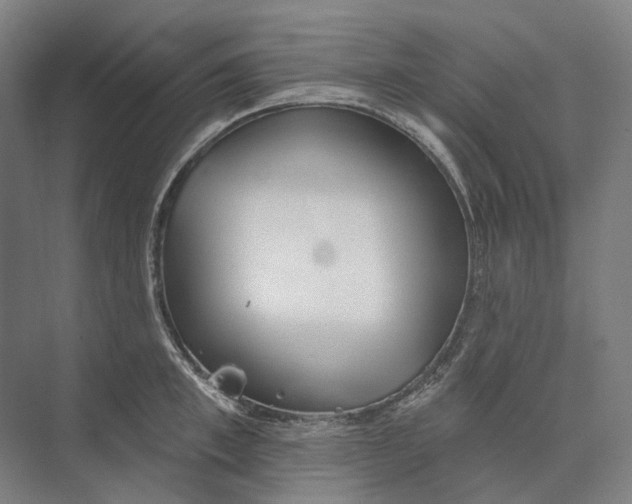 X0000073990997200609181737