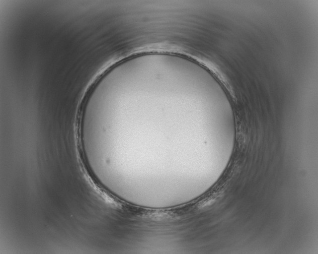 X0000073990998200609181737