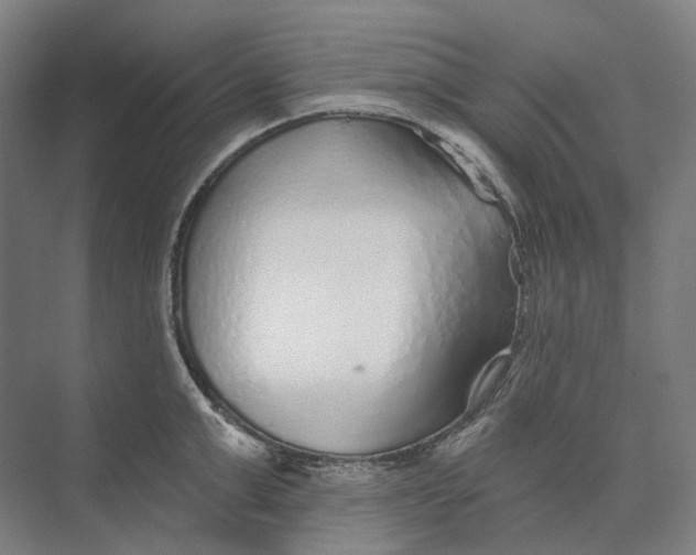 X0000073990999200609181737