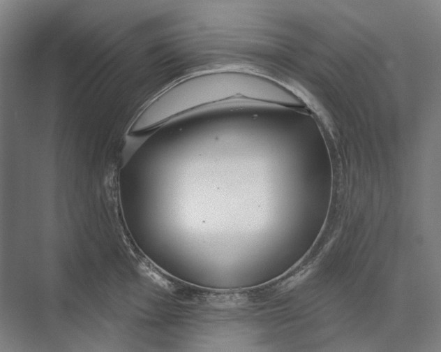 X0000073991001200609181737