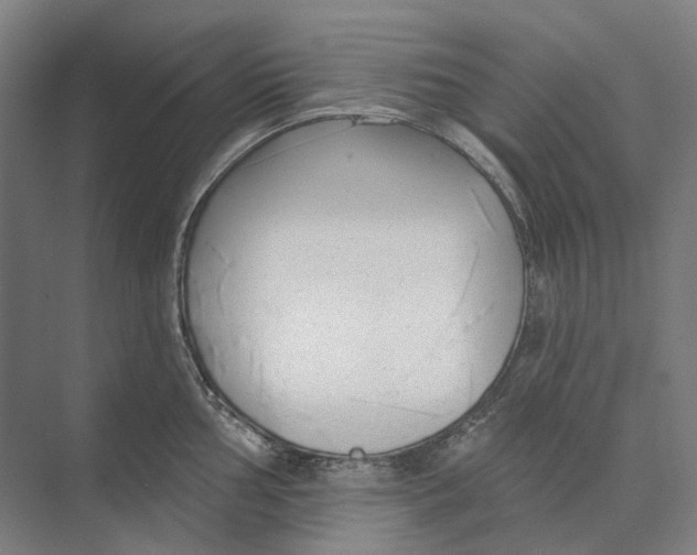 X0000073991002200609181737