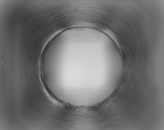 X0000073991003200609181737