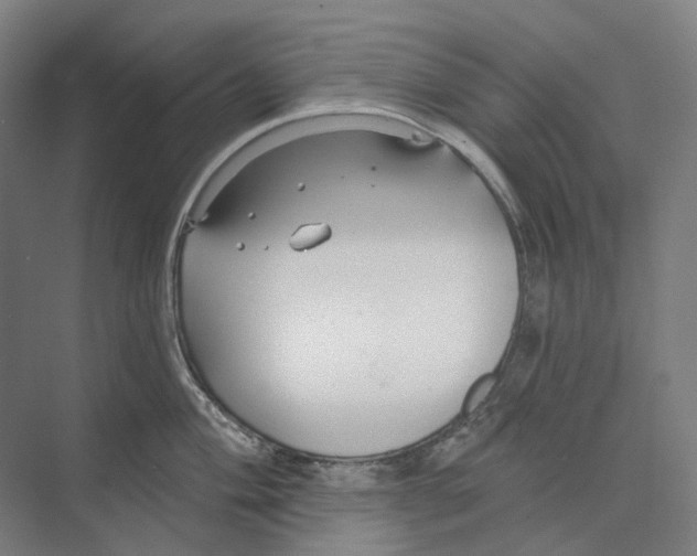 X0000073991004200609181737