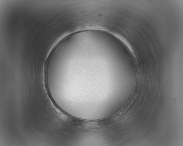 X0000073991006200609181737