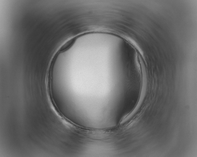 X0000073991007200609181737